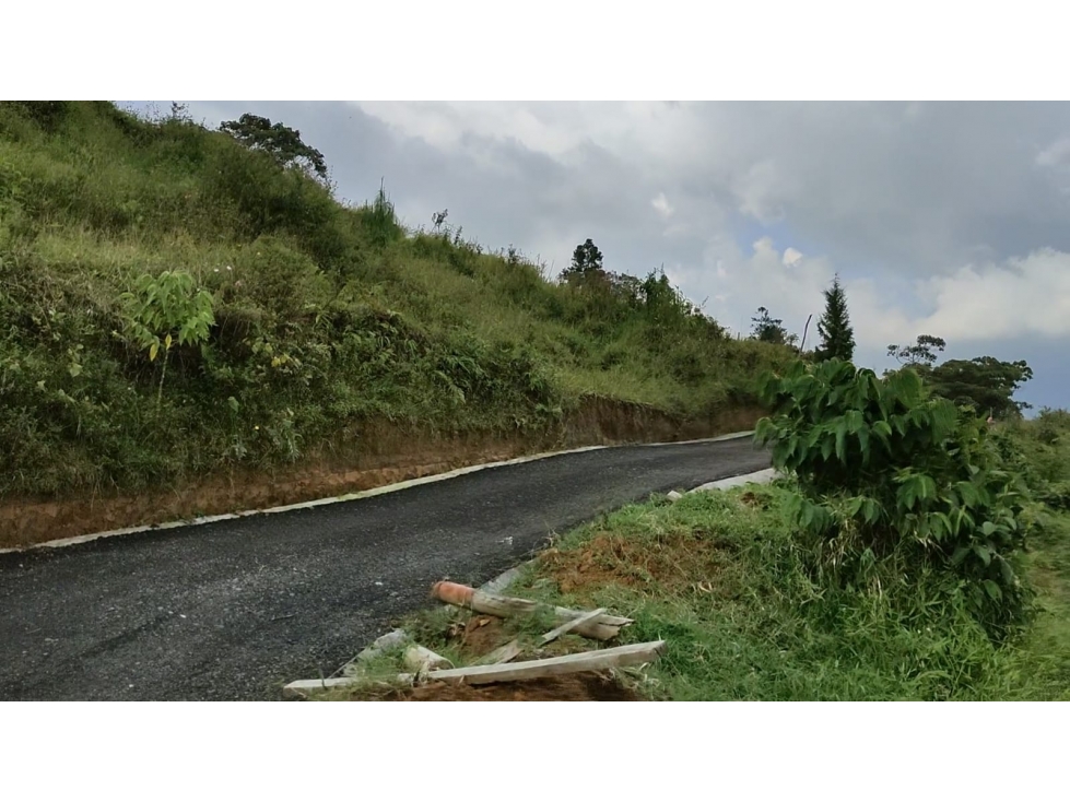 EXCELENTE PROYECTO COLINAS DE CYPRÉSS. LOTES EN CALDAS, ANTIOQUIA - 4