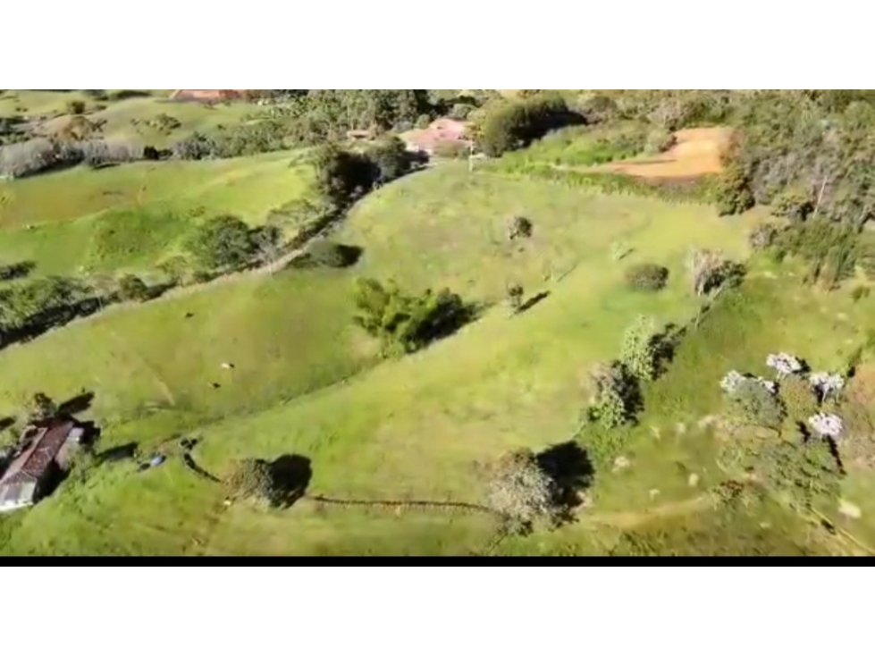 (V.I) ESPECTACULAR Y AMPLIO LOTE EN RIONEGRO EN VENTA, VEREDA CAPIRO — foto 4