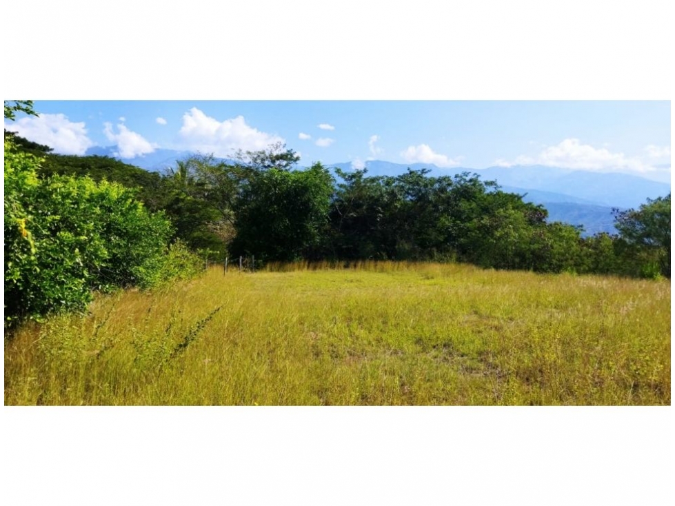 (V.I)LOTE EN VENTA EN PARCELACIÓN PANGORDITO SANTA FE DE ANTIOQUIA — foto 4
