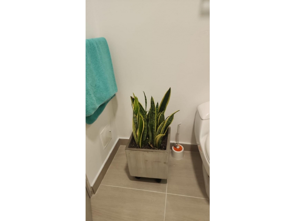APARTAMENTO EN VENTA SECTOR POZOS COLORADOS SANTA MARTA MAGDALENA — foto 6