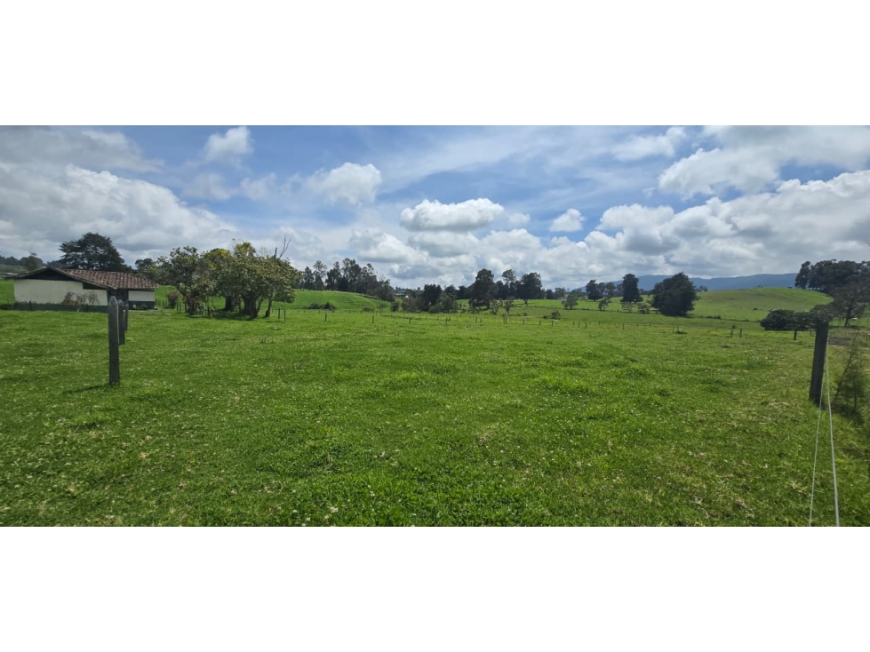 Lotes en venta en Llano de Ovejas San Pedro de los Milagros — foto 4