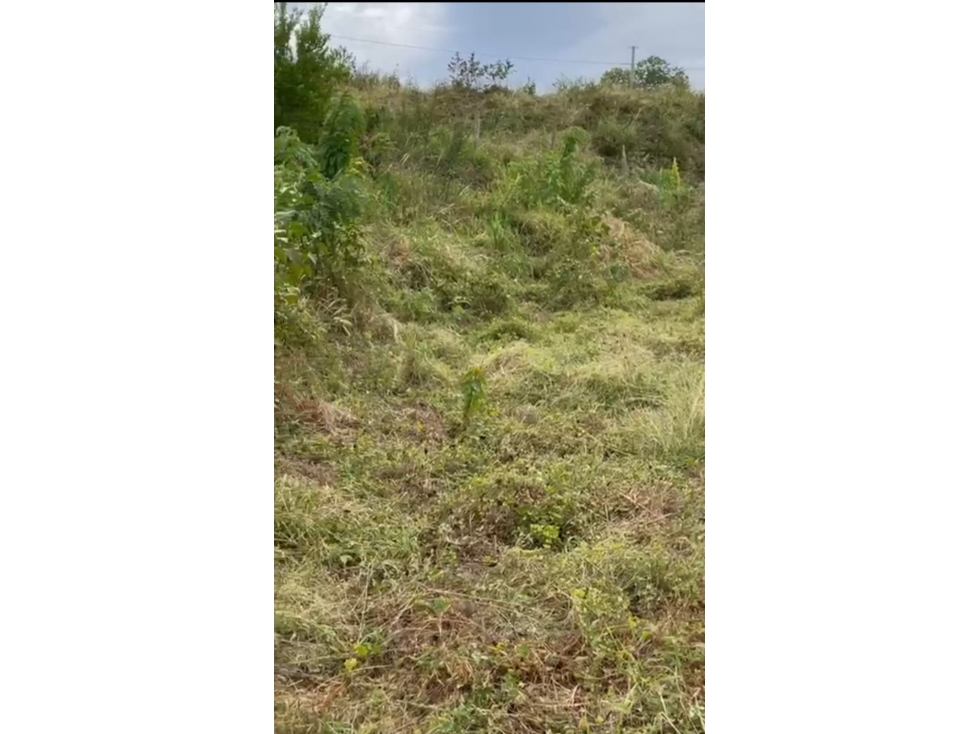 (V.I) LOTE EN VENTA EN SOPETRÁN — foto 5