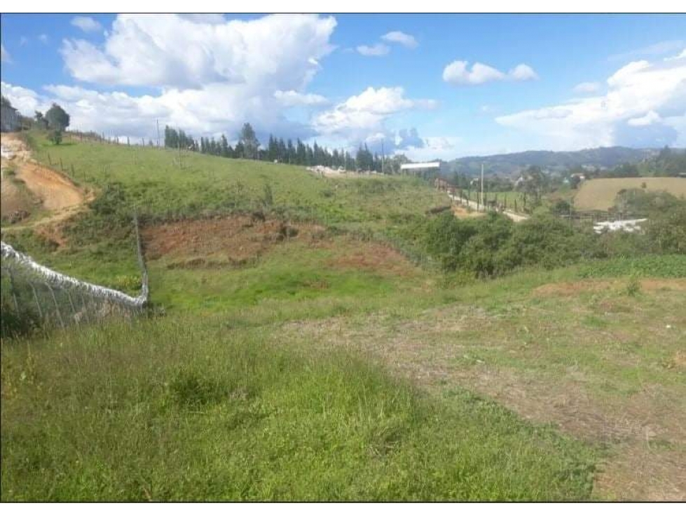 (V.I) LOTE EN VENTA GUARNE, VEREDA BATEA SECA — foto 5