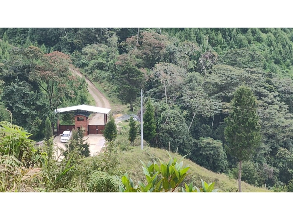 EXCELENTE PROYECTO COLINAS DE CYPRÉSS. LOTES EN CALDAS, ANTIOQUIA - 5