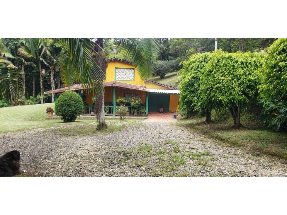 FINCA EN VENTA UBICADA EN RIONEGRO, ANTIOQUIA VEREDA SAN LUIS — foto 5