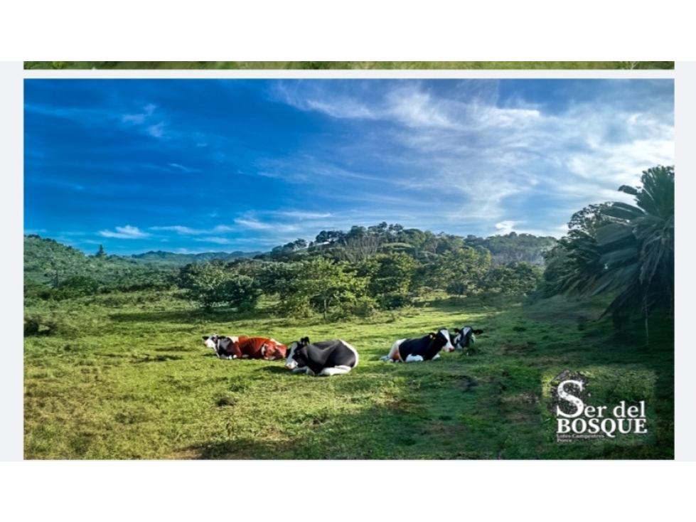 LOTE CAMPESTRE EN VENTA EN PORCE - 6