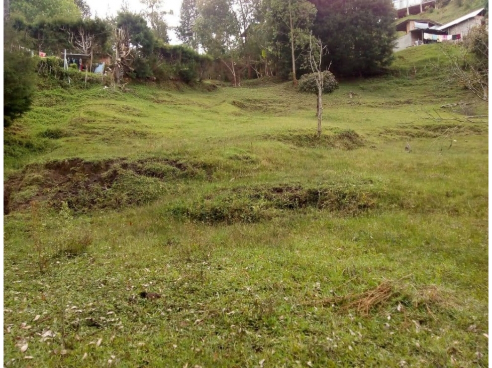 CASA CAMPESTRE EN VENTA GUARNE, SECTOR SANGO — foto 6