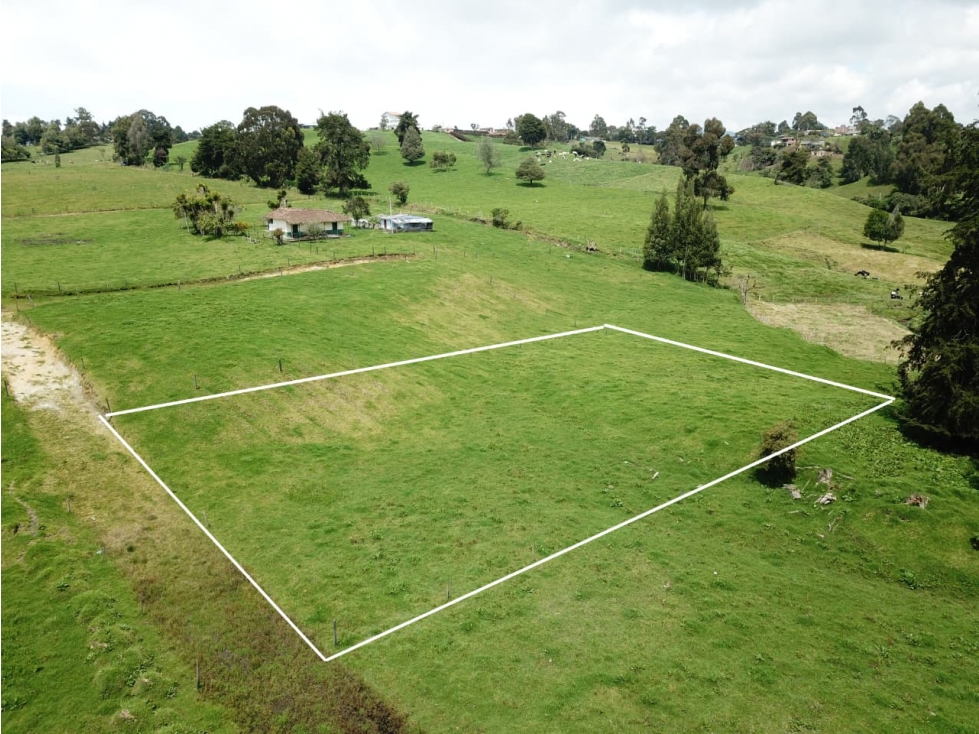 Lotes en venta en Llano de Ovejas San Pedro de los Milagros — foto 6