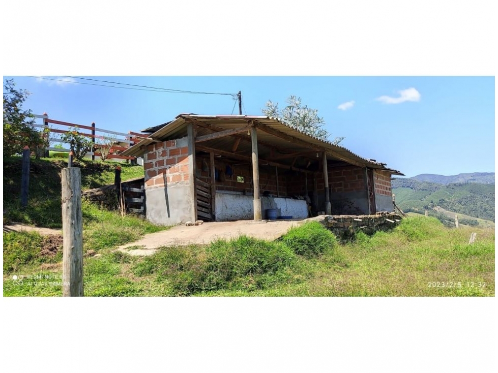 (V.I) FINCA EN VENTA EN MONTEBELLO, ANTIOQUIA, VEREDA EL CAUNZAL — foto 2
