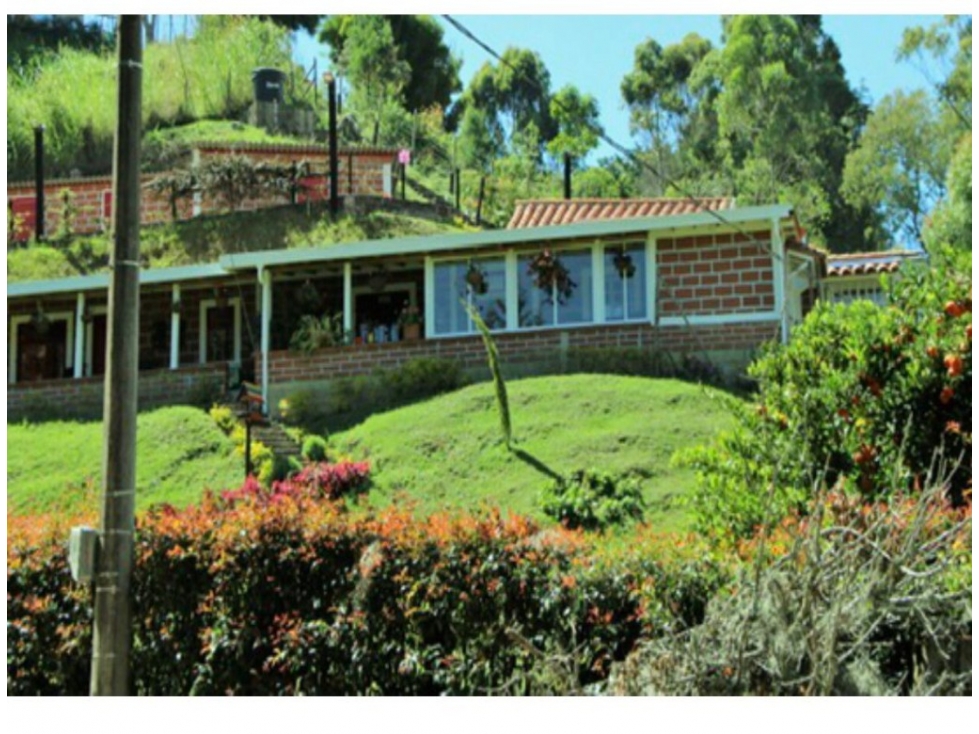 (V.I)FINCA EN VENTA EN GUARNE ANTIOQUIA, VEREDA BELLAVISTA