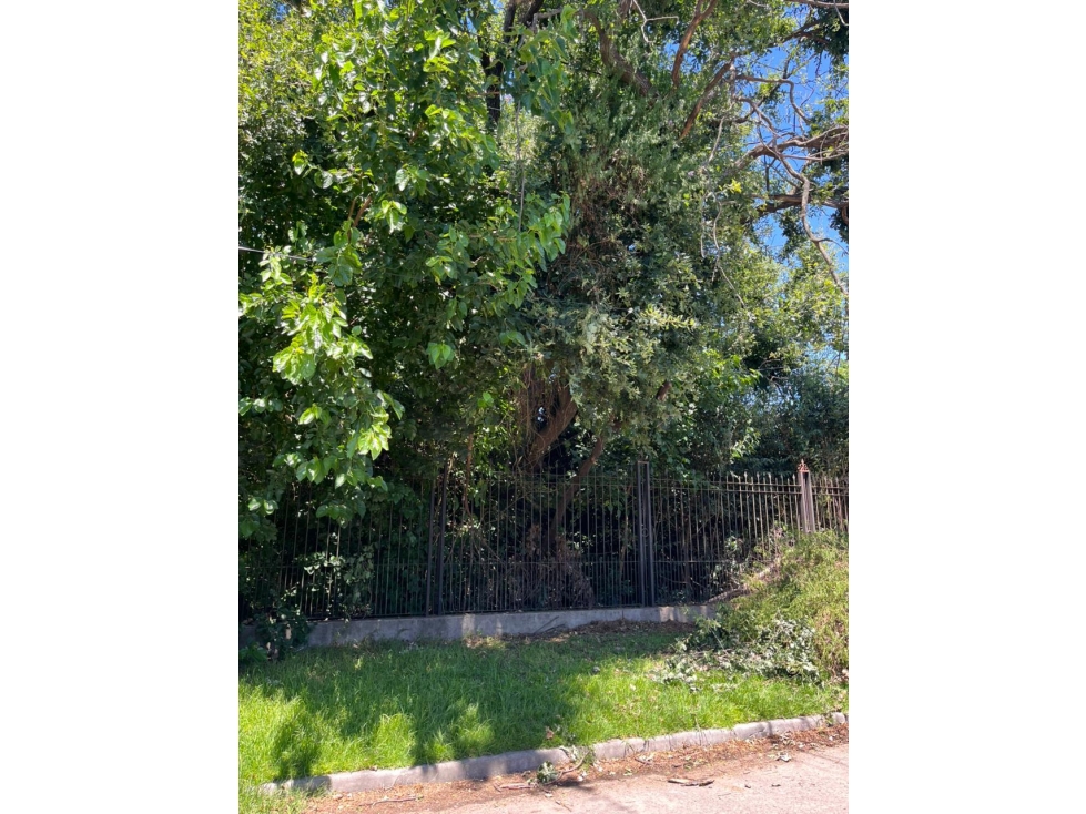 Venta de Terreno en Barrio Sarmiento — foto 5