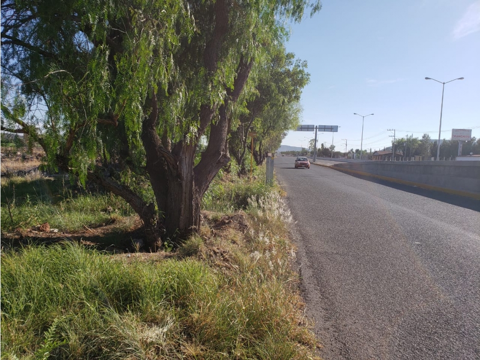 TERRENO EN VENTA CON EXCELENTE UBICACIÓN Y CONECTIVIDAD - 6