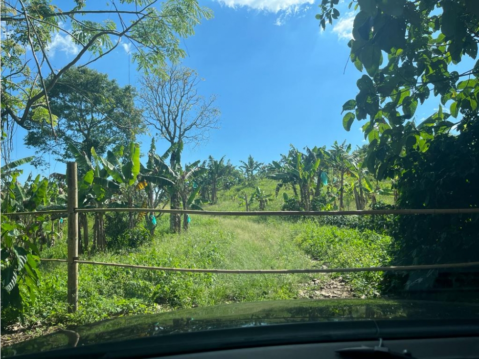 VENDO FINCA EN QUIMBAYA - 1