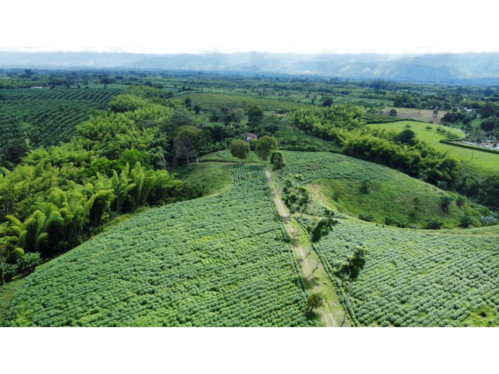 VENTA DE HERMOSA FINCA