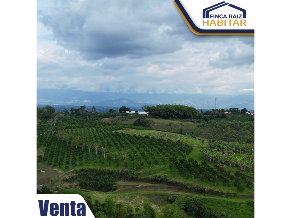 VENDO LOTE EN EL QUINDIO