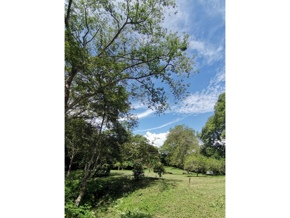 VENDO LOTE SOPETRAN ANTIOQUIA