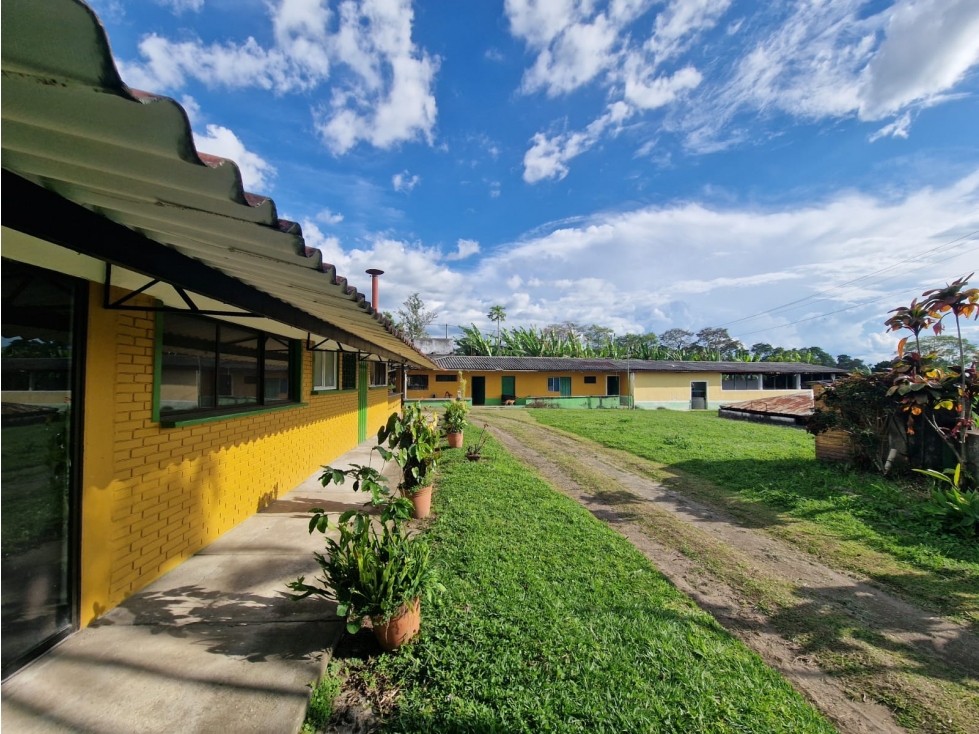 RENTO FINCA AL SUR DE ARMENIA — foto 3