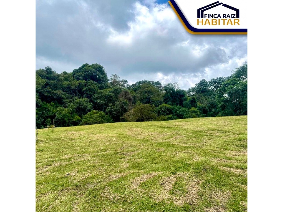 VENDO LOTE EN EL QUINDIO — foto 2