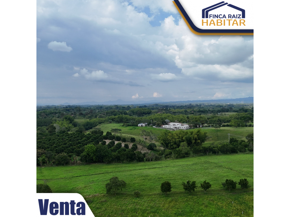 VENDO LOTE EN EL QUINDIO — foto 2