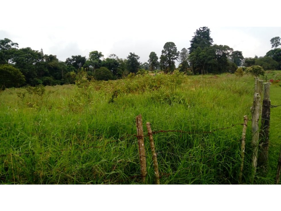 LOTE UBICADO EN VIA PEREIRA