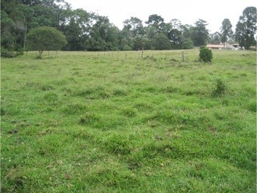 LOTE UBICADO EN VIA PEREIRA — foto 2