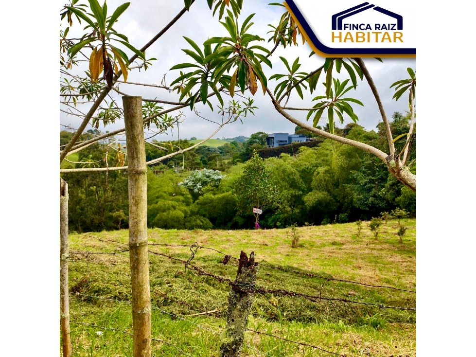 VENDO LOTE EN EL QUINDIO — foto 3