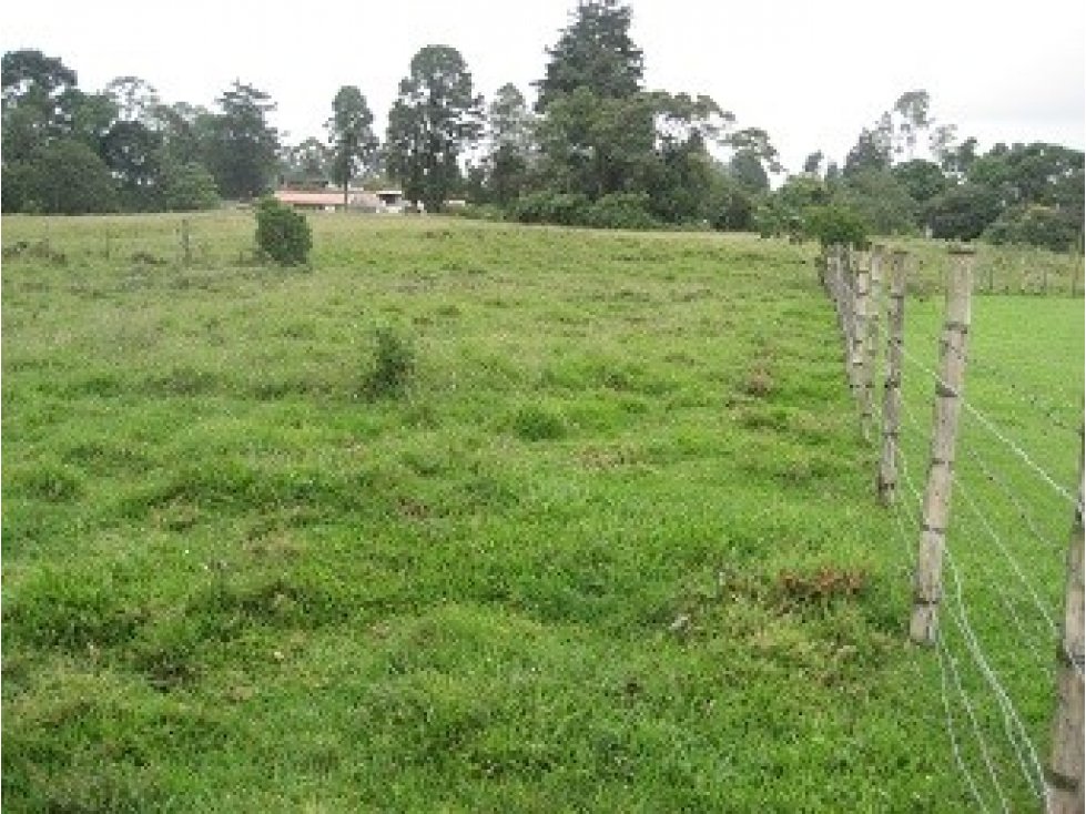 LOTE UBICADO EN VIA PEREIRA — foto 3