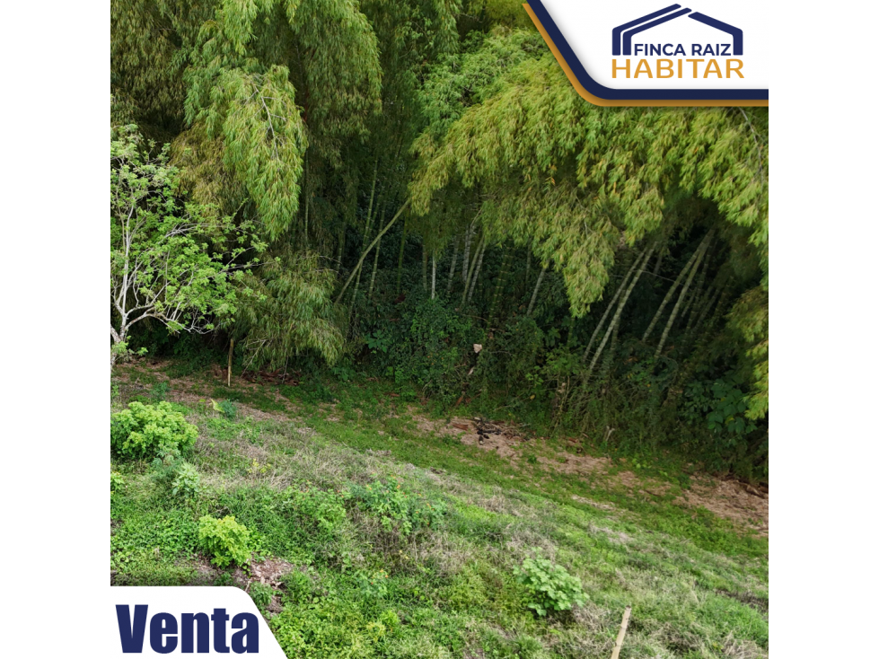 VENDO LOTE EN EL QUINDIO — foto 4