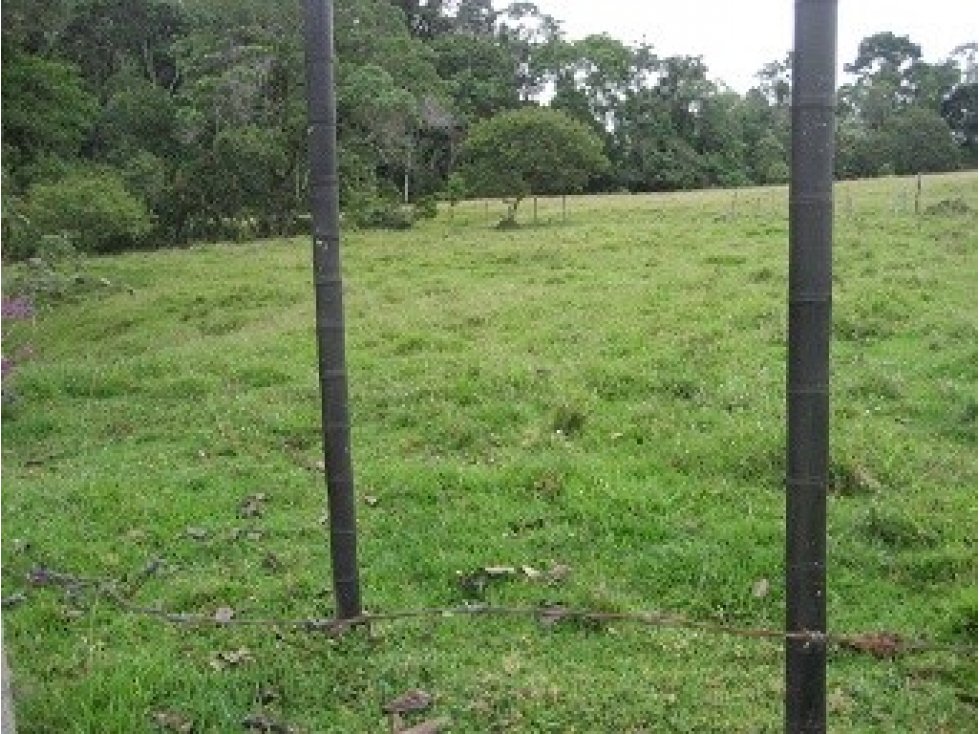 LOTE UBICADO EN VIA PEREIRA — foto 4