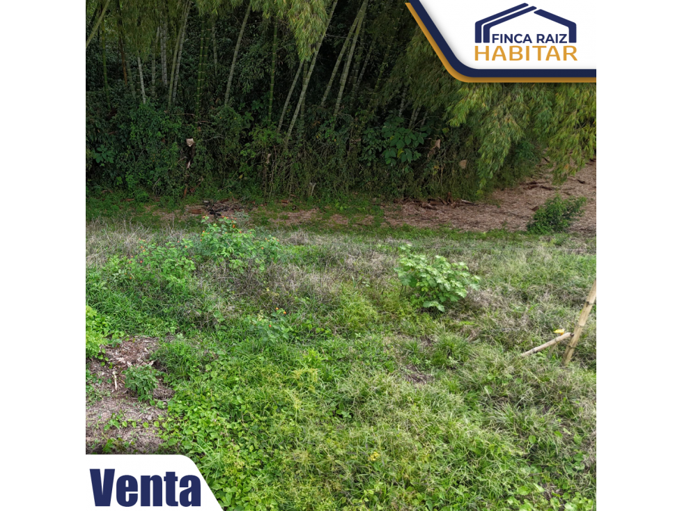 VENDO LOTE EN EL QUINDIO — foto 5