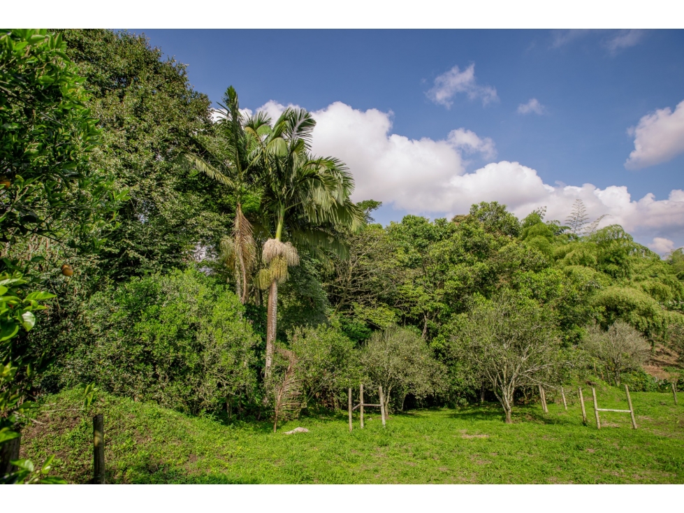 VENDO ESPACIOSO LOTE VÍA LA TEBAIDA — foto 5