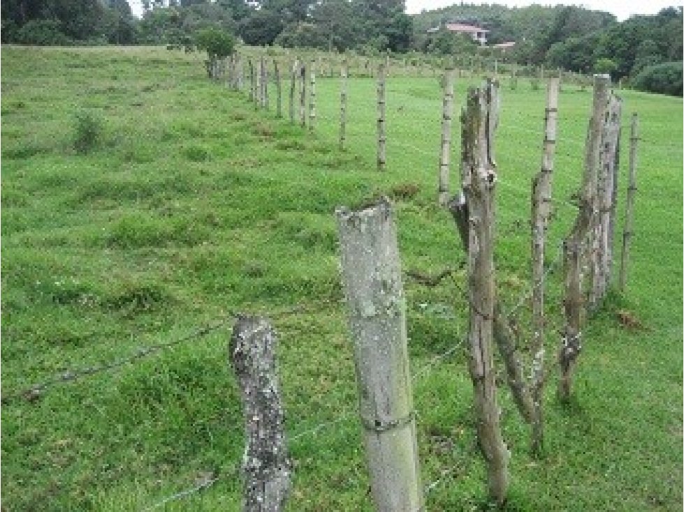 LOTE UBICADO EN VIA PEREIRA — foto 5