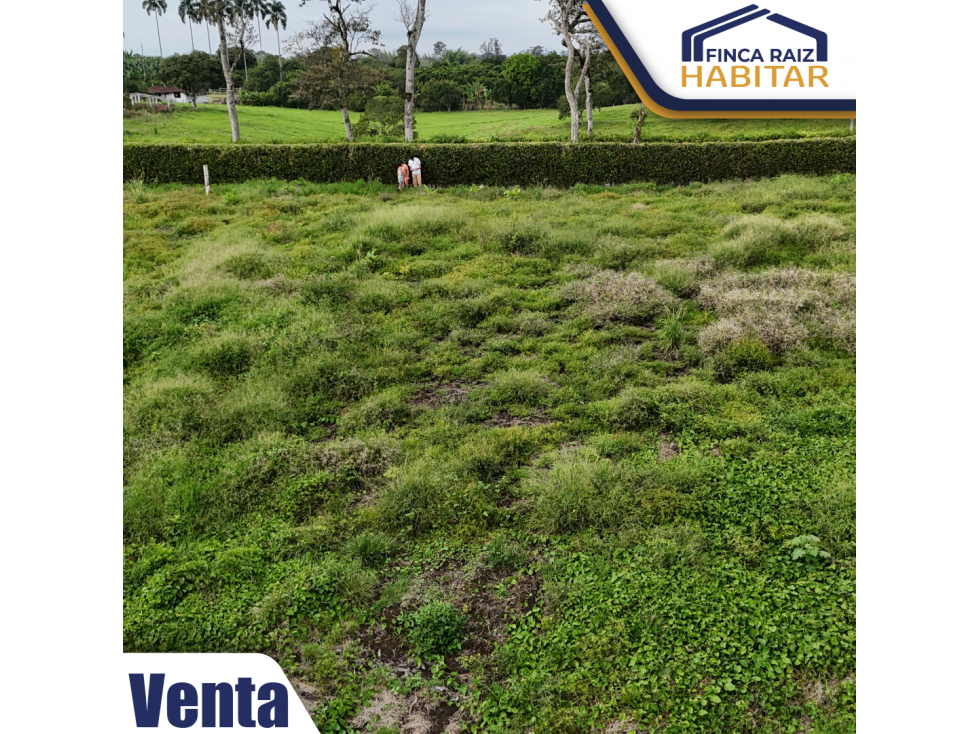 VENDO LOTE EN EL QUINDIO — foto 6