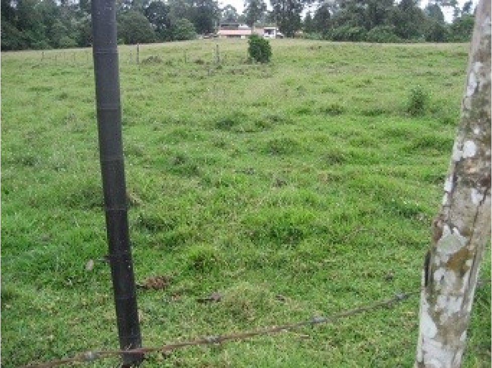 LOTE UBICADO EN VIA PEREIRA — foto 6