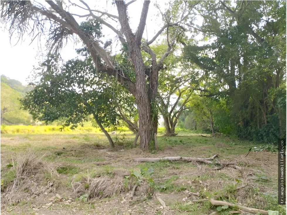 VENTA DE LOTE SOPETRAN VEREDA MIRANDA ANTIOQUIA — foto 3