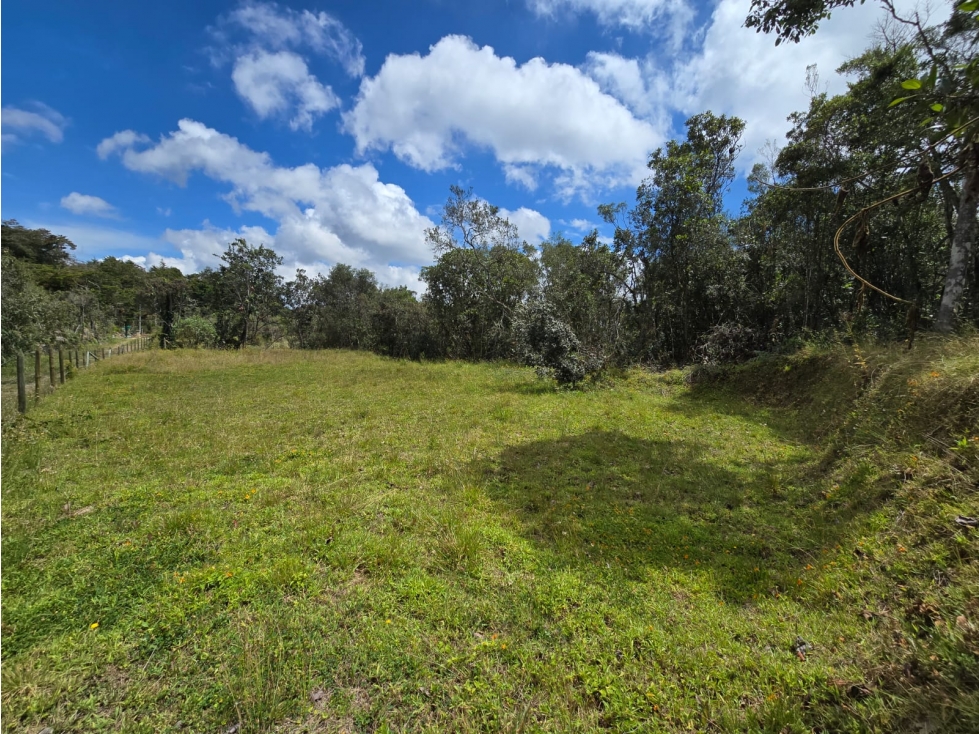 VENTA DE LOTE VEREDA LA BRIZUELA GUARNE ANTIOQUIA