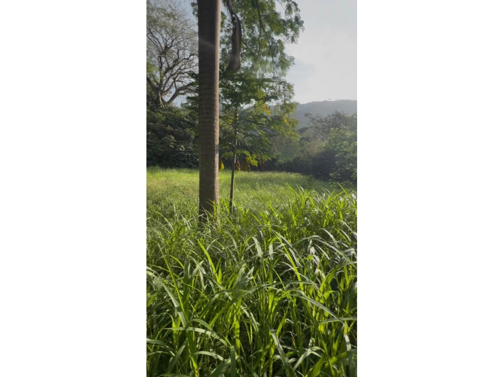 VENTA DE LOTE SAN JERONIMO ANTIOQUIA - 3