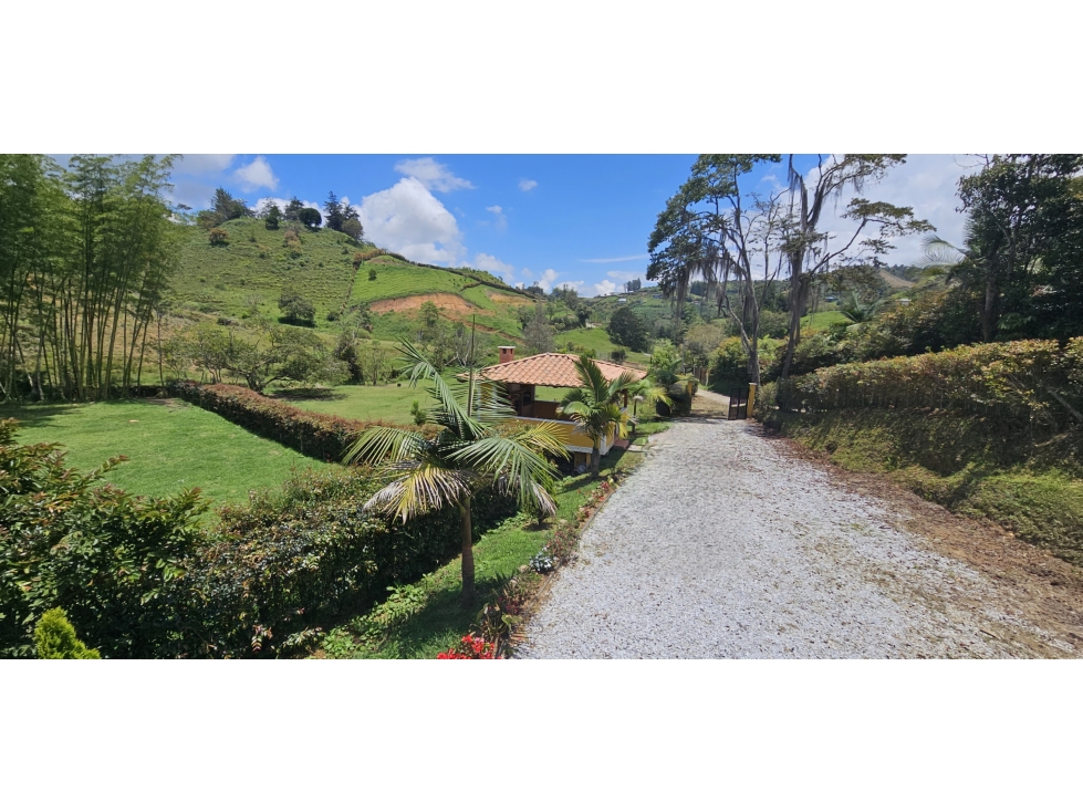 VENTA DE FINCA VEREDA EL POZO EL PEÑOL ANTIOQUIA - 3