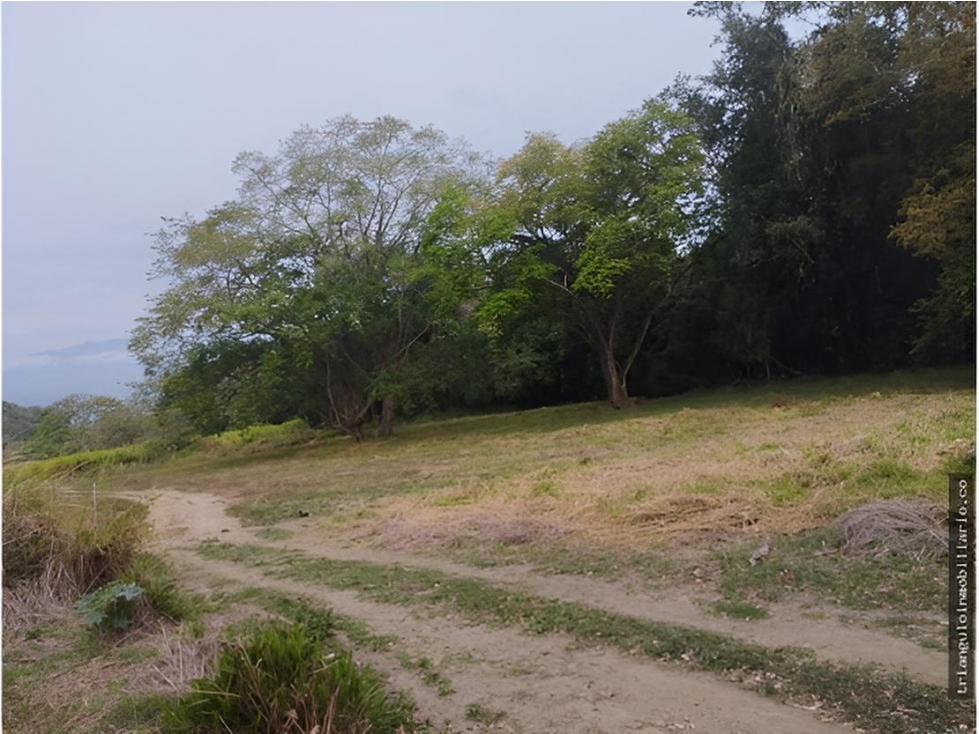 VENTA DE LOTE SOPETRAN VEREDA MIRANDA ANTIOQUIA