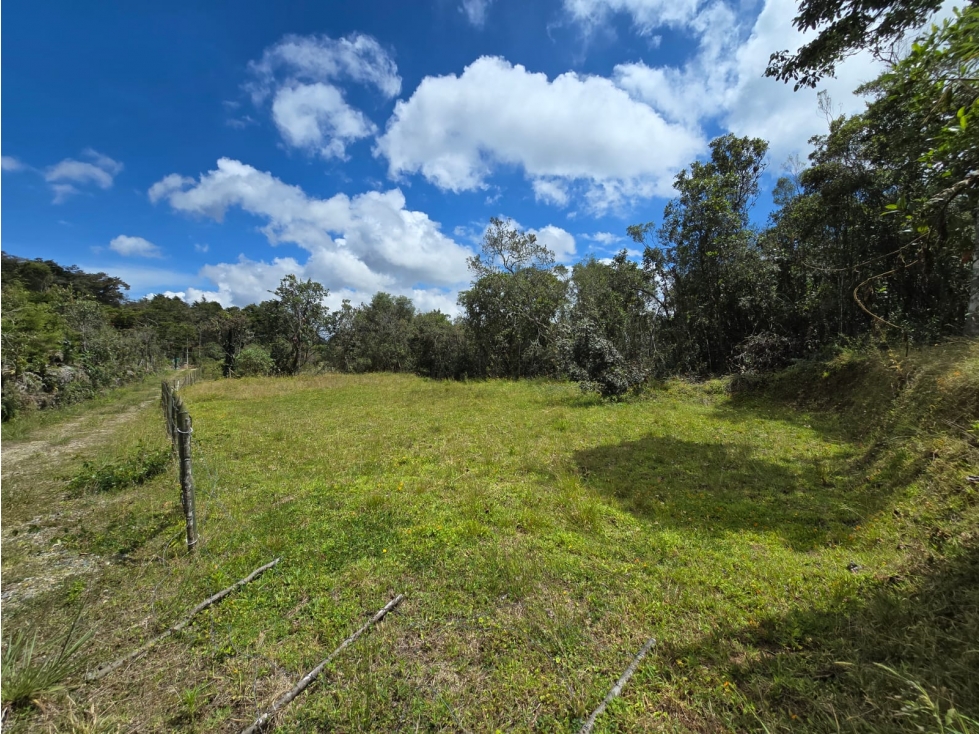 VENTA DE LOTE VEREDA LA BRIZUELA GUARNE ANTIOQUIA — foto 2