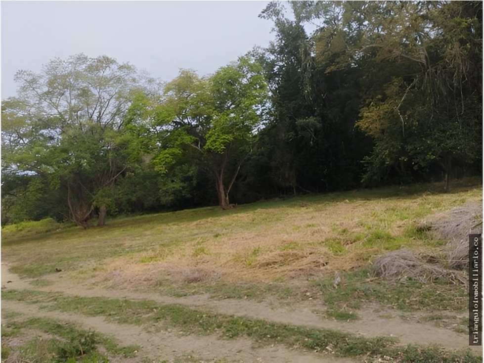 VENTA DE LOTE SOPETRAN VEREDA MIRANDA ANTIOQUIA — foto 2