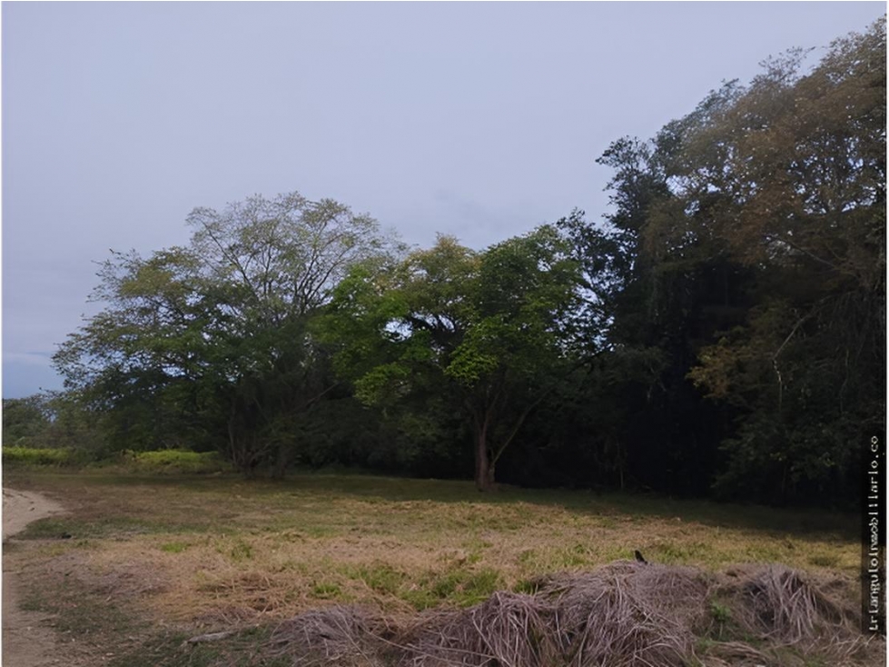 VENTA DE LOTE SOPETRAN VEREDA MIRANDA ANTIOQUIA — foto 4