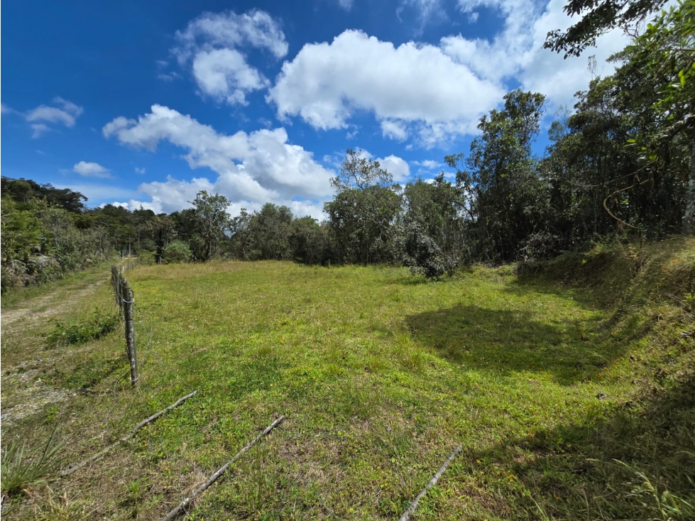 VENTA DE LOTE VEREDA LA BRIZUELA GUARNE ANTIOQUIA — foto 4