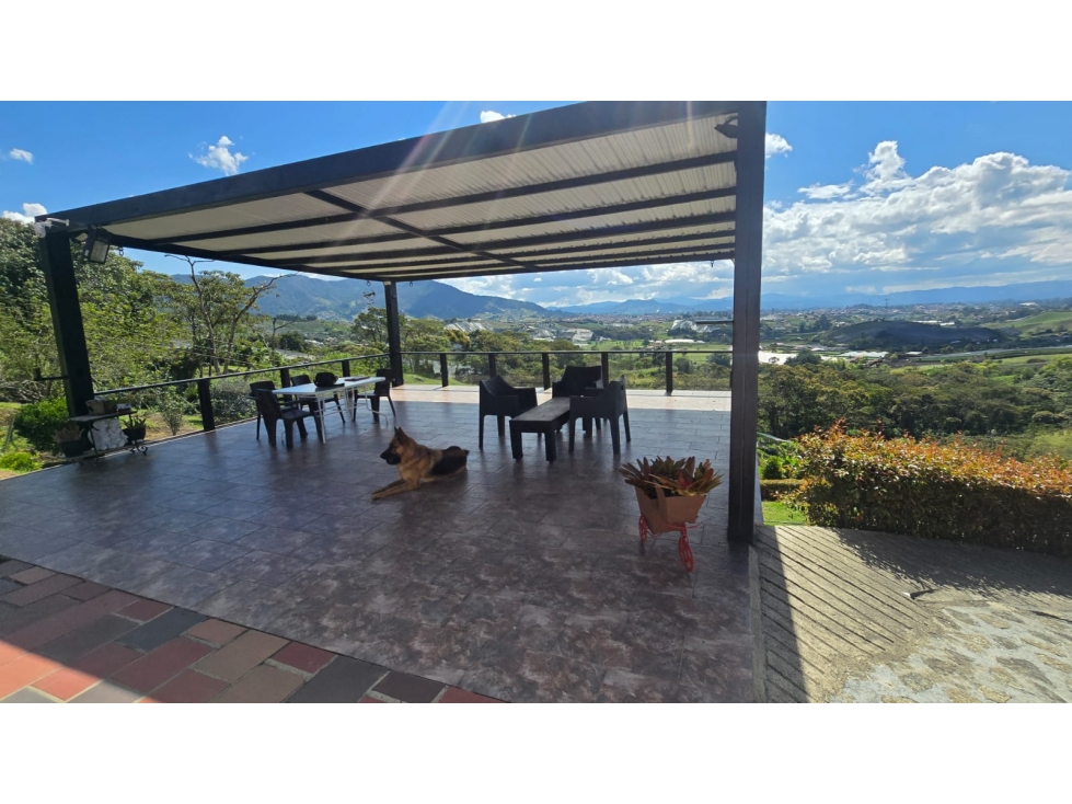 VENTA DE FINCA VERERA VIBORAL EL CARMEN DE VIBORAL — foto 4
