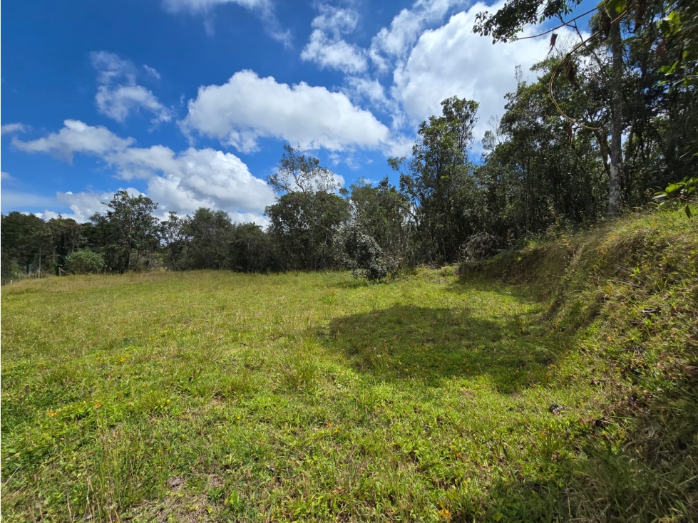 VENTA DE LOTE VEREDA LA BRIZUELA GUARNE ANTIOQUIA — foto 5