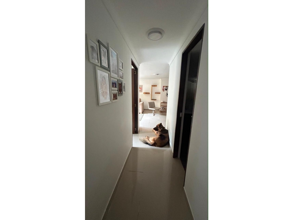 RENTA DE APARTAMENTO EL POBLADO MEDELLIN — foto 5