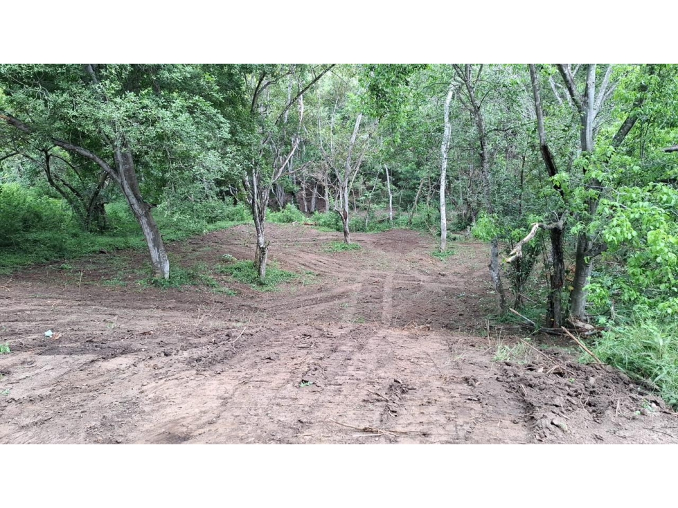 VENTA DE LOTE EN PARCELACIÓN SOPETRAN ANTIOQUIA