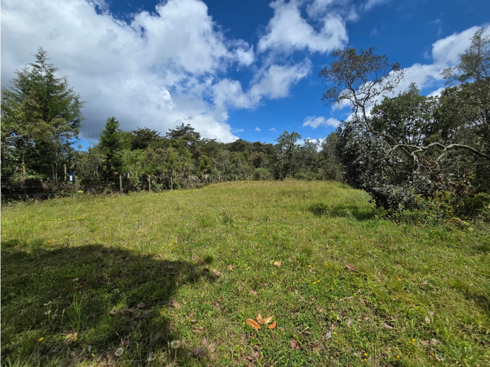 VENTA DE LOTE VEREDA LA BRIZUELA GUARNE ANTIOQUIA — foto 6