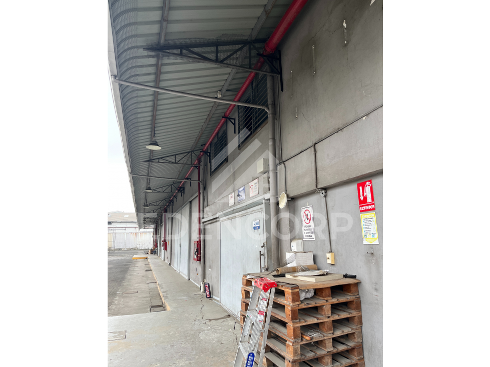 Venta de Galpón Industrial y Oficina en Vía a Daule PP-0136 — foto 4