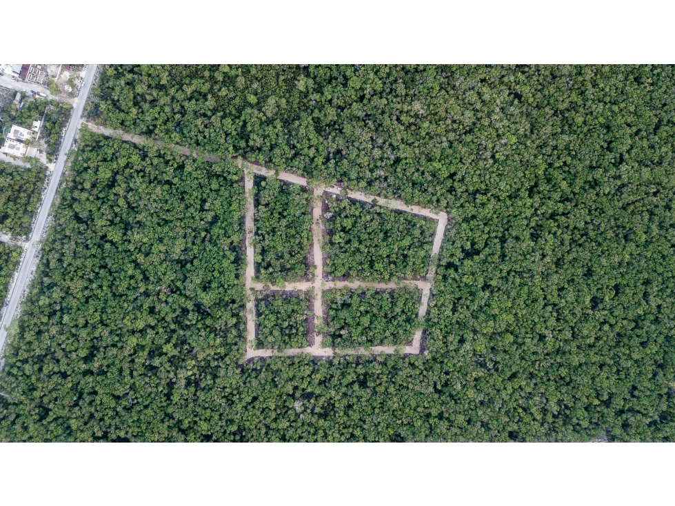 Venta en Oferta Lote Residencial a metros de Surena Tulum - 6